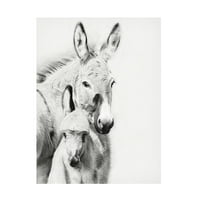 Phburchett 'Donkey Portré v' Canvas Art