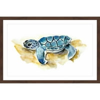Marmont Hill Baby Sea Turtle , Michelle Dujardin keretes festményi nyomtatás
