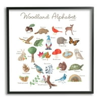 Stupell Industries Woodland Alphabet Wildlife Botanicals tanulási erdei lények grafikus művészet fekete keretes művészet
