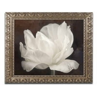 Védjegy Szépművészet 'White Tulip III' vászon művészet, Cora Niele, arany díszes keret