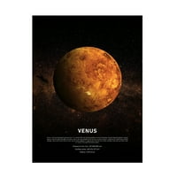 Design Fabrikken 'Vénusz' Canvas Art