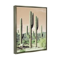 Stupell Industries Towering Cactus növények Széles sivatagi növényzet természetfotó Luster szürke úszó keretes vászon