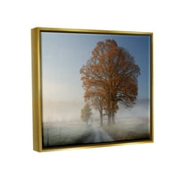Stupell ködös út sycamore fa tájfotózás arany úszó keretes művészeti nyomtatási fal művészet