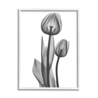 Stupell Industries kortárs átlátszó tulipán grafikus művészet fehér keretes művészet nyomtatott fali művészet, Design,