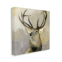 Stupell Elk Forest Wildlife Portré állatok és rovarok Festés Galéria csomagolt vászon nyomtatott fal művészet