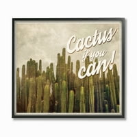 A Stupell Lakberendezési Gyűjtemény Kaktusz, Ha Tudsz Kaktuszfotózás Nyugati Jelenet Képeslap Keretes Giclee Texturált