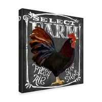 Védjegy képzőművészet 'Select Farm Rooster' vászon művészet az Art Licensing Studio által