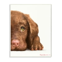 Csokoládé labrador kölyökkutya imádnivaló kutya portré keretes festmény művészeti nyomtatás