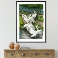 Designart 'Pelicans a folyó víz közelében pihennek.