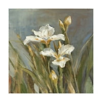 A Danhui Nai, a 'Spring Iris IIS II. Tavaszi Iris' vászon művészete