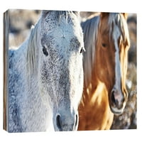 Képek, Horse Fort Ranch 6, 20x16, dekoratív vászon fali művészet